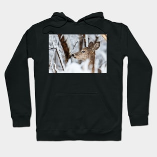 Oh Deer Hoodie